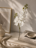 Faux White Phalaenopsis Orchid Stem OCT-01 - 25 inch artificial white orchid stem styled in home decor setting