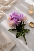 Purple Lavender Spider Chrysanthemum Bundle styled on white linen