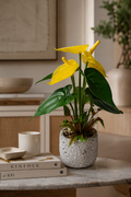 Faux yellow anthurium lifestyle on coffee table in modern living room