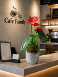 Faux red anthurium lifestyle on cafe counter at Cafe Family