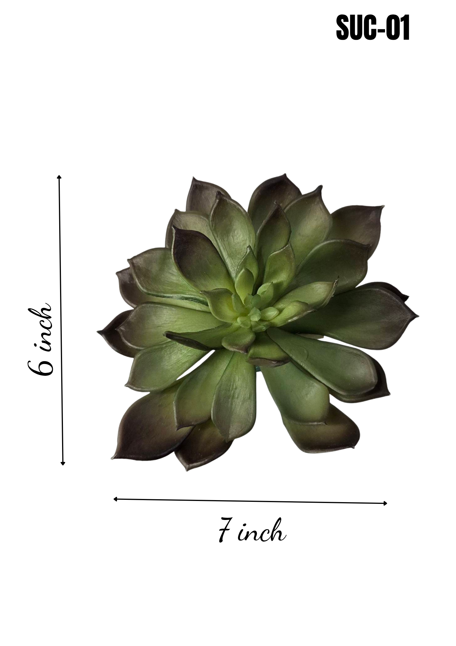Faux Echeveria Succulent Stem SUC-01 - 7x6 inch artificial green echeveria succulent with dark burgundy leaf tips, white background