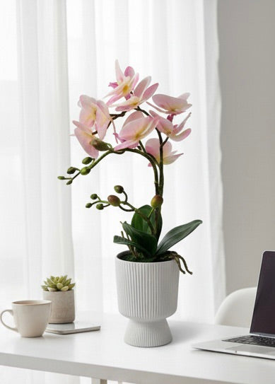 Pink phalaenopsis orchid in white ribbed pot on desk - lifestyle