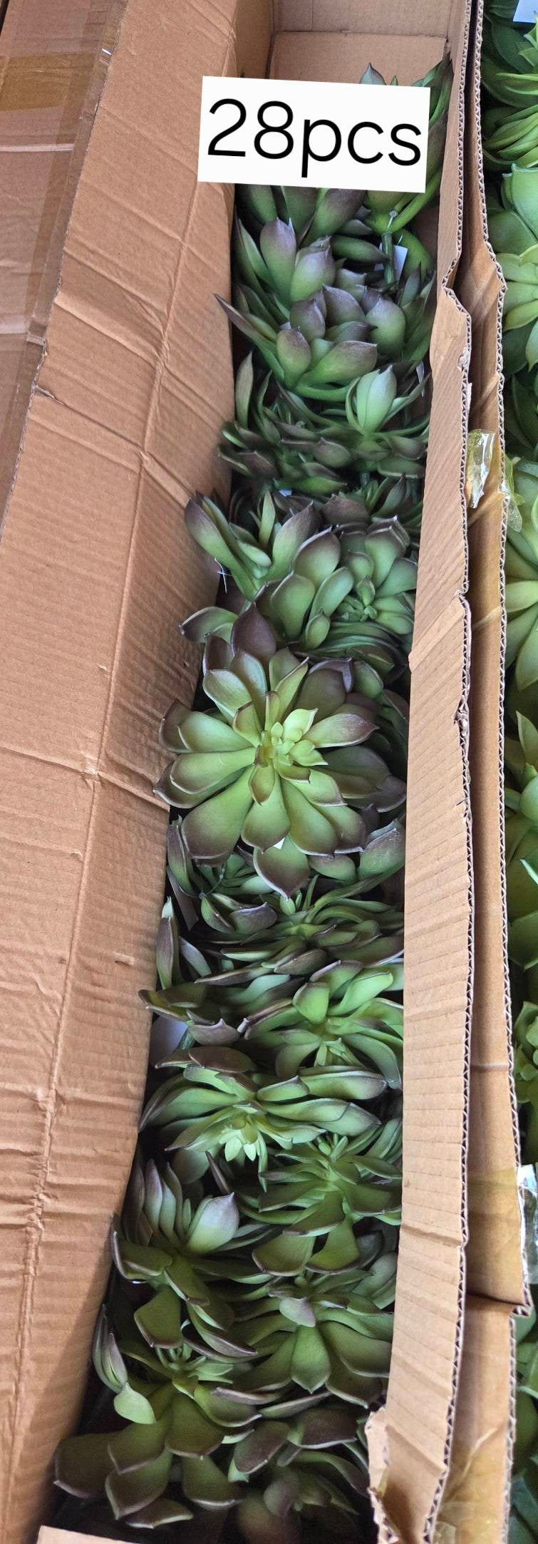 Faux Echeveria Succulent Stem SUC-02 bulk packaging - box of 28 artificial dark green echeveria succulents packed in cardboard wholesale case