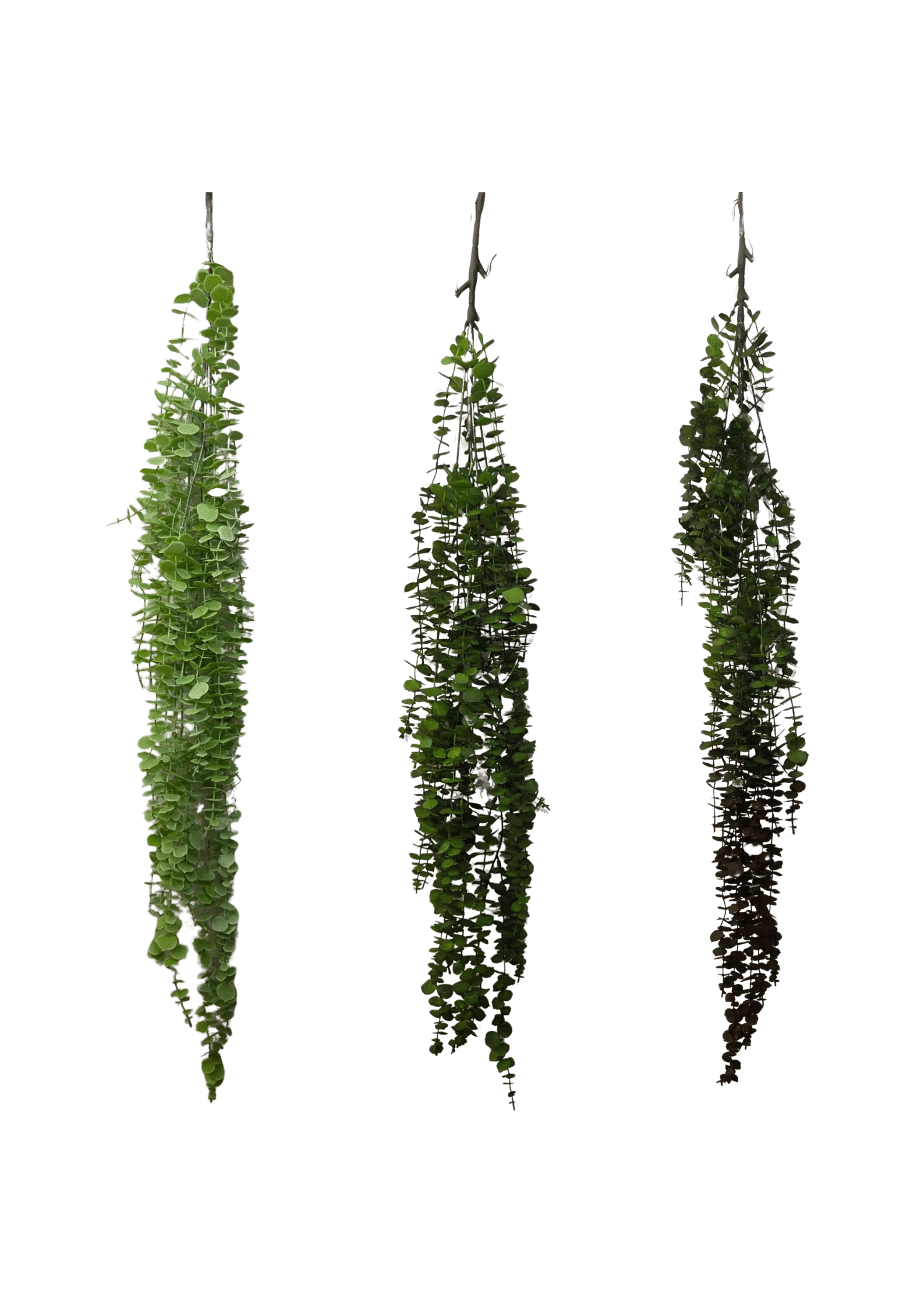 Artificial Hanging Eucalyptus FT-03-C 3 colors